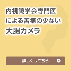 内視鏡学会専門医による苦痛の少ない大腸カメラ